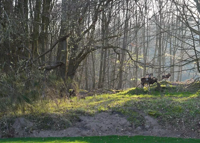 Thormarcon Am Plauer Fuer 20 Gaeste, Sauna, Pool